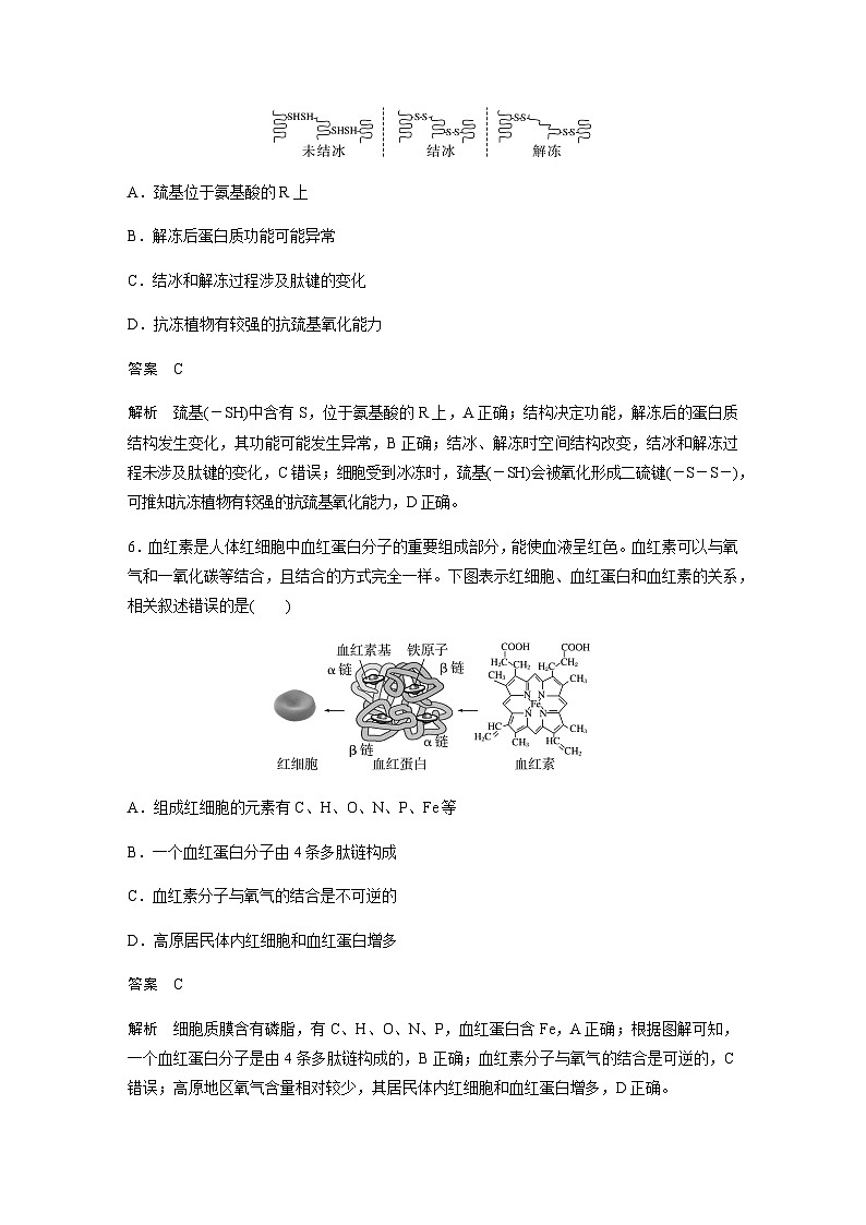 2024届苏教版高考生物一轮复习蛋白质是生命活动的主要承担者作业含答案第3页