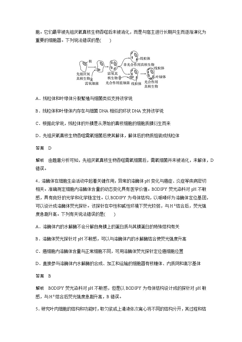 2024届苏教版高考生物一轮复习结构与功能独特的细胞器作业含答案02