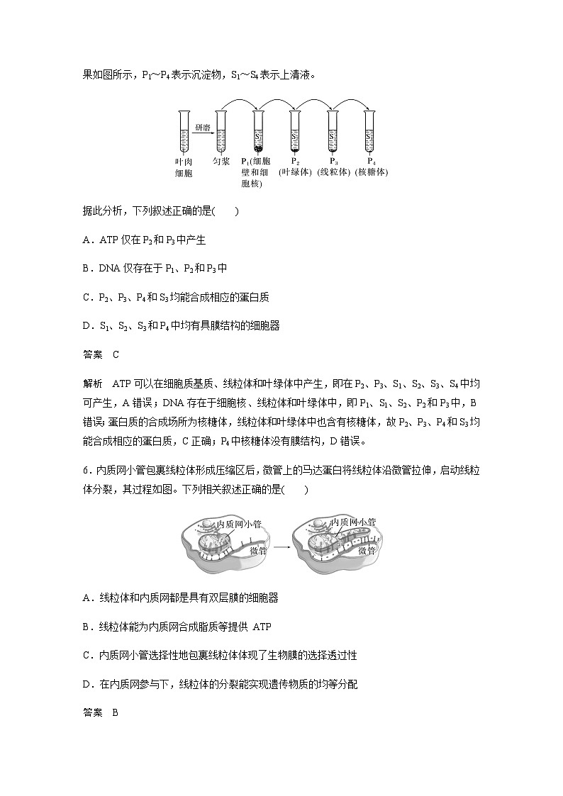 2024届苏教版高考生物一轮复习结构与功能独特的细胞器作业含答案03