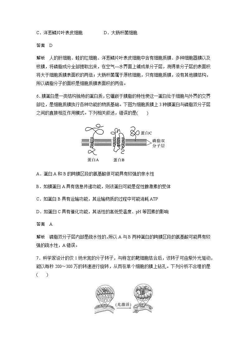 2024届苏教版高考生物一轮复习细胞质膜将细胞与外界环境分开作业含答案第3页