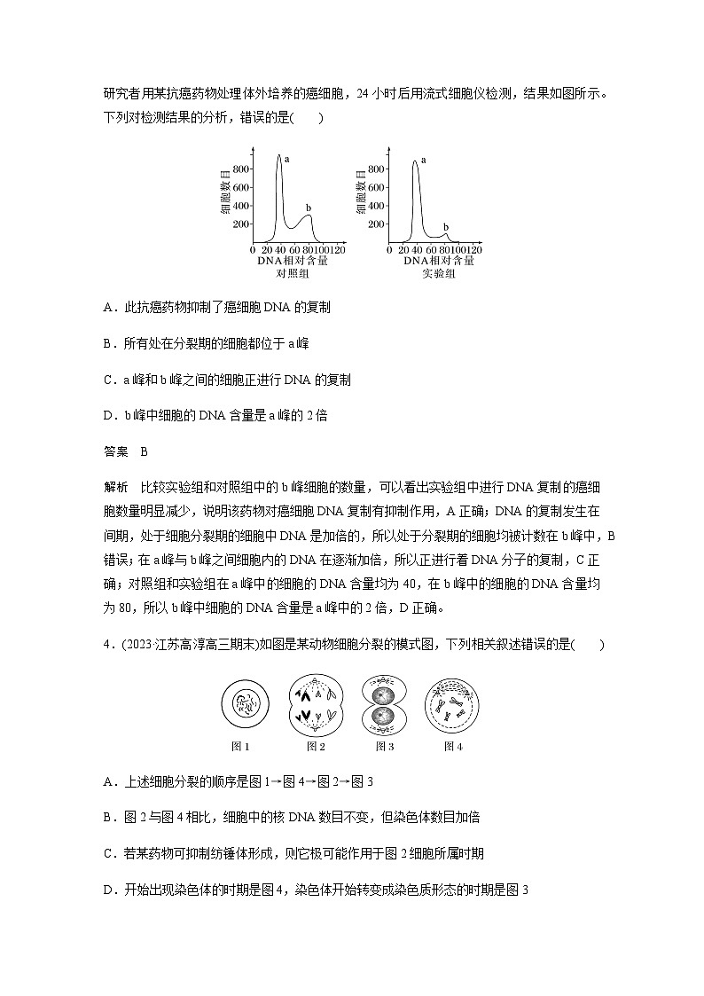 2024届苏教版高考生物一轮复习细胞的增殖作业含答案第2页