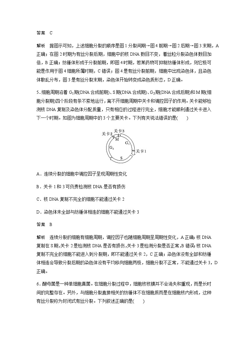 2024届苏教版高考生物一轮复习细胞的增殖作业含答案第3页