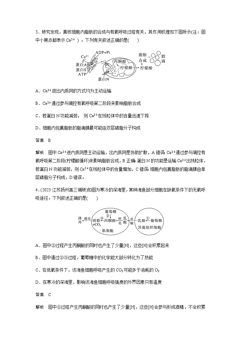 2024届苏教版高考生物一轮复习细胞呼吸——能量的转化和利用作业含答案第2页