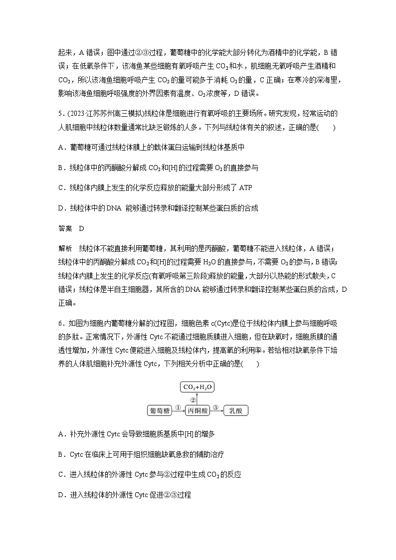 2024届苏教版高考生物一轮复习细胞呼吸——能量的转化和利用作业含答案第3页