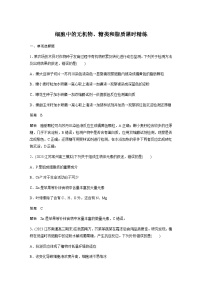 2024届苏教版高考生物一轮复习细胞中的无机物、糖类和脂质作业含答案