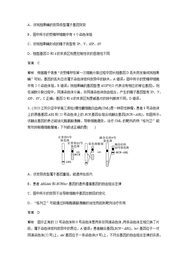 2024届苏教版高考生物一轮复习染色体变异作业含答案第2页