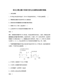 2024届苏教版高考生物一轮复习有丝分裂过程中的相关变化及观察实验作业含答案