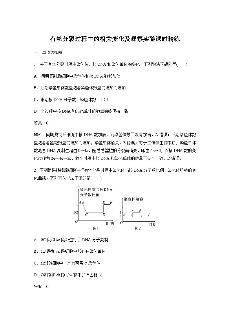 2024届苏教版高考生物一轮复习有丝分裂过程中的相关变化及观察实验作业含答案第1页