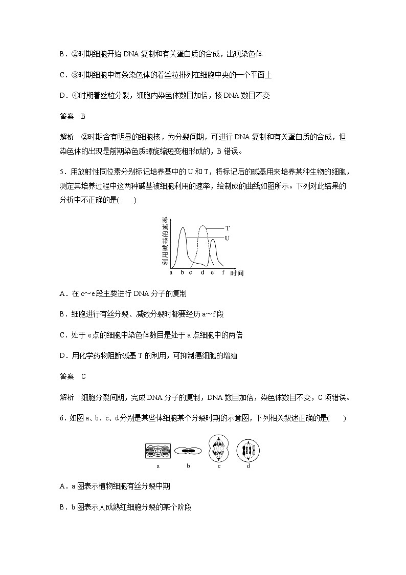 2024届苏教版高考生物一轮复习有丝分裂过程中的相关变化及观察实验作业含答案第3页