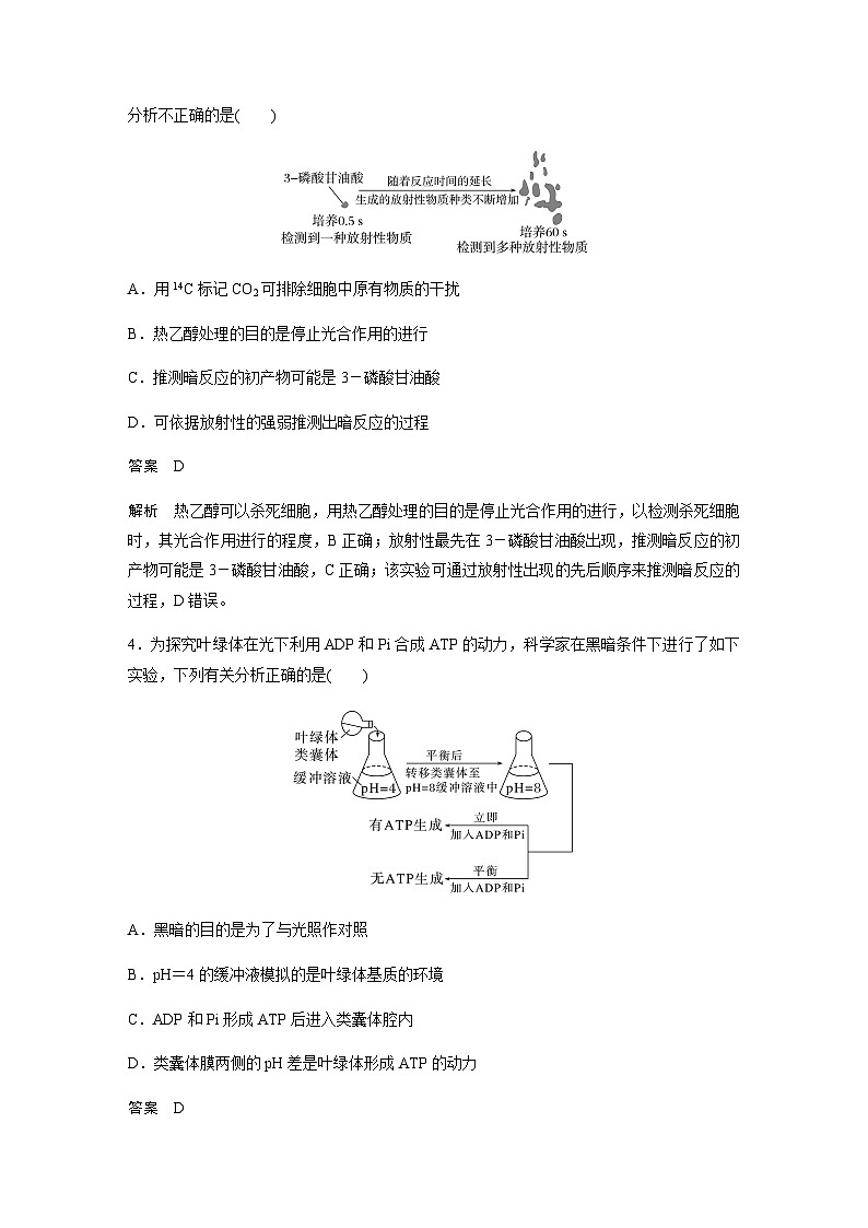 2024届苏教版高考生物一轮复习探索光合作用及其过程作业含答案第2页