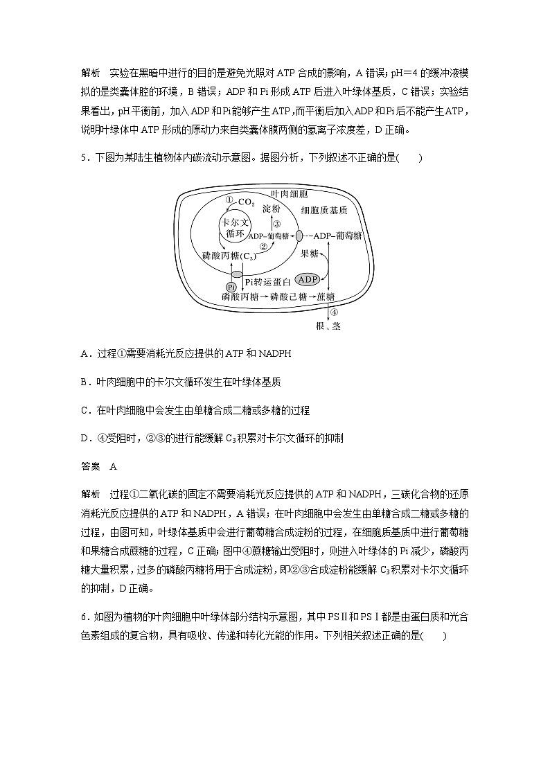 2024届苏教版高考生物一轮复习探索光合作用及其过程作业含答案第3页