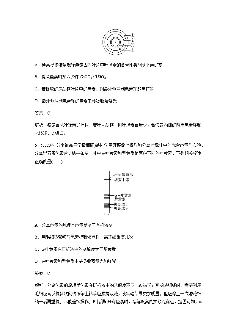 2024届苏教版高考生物一轮复习叶绿体与光能的捕获作业含答案第3页