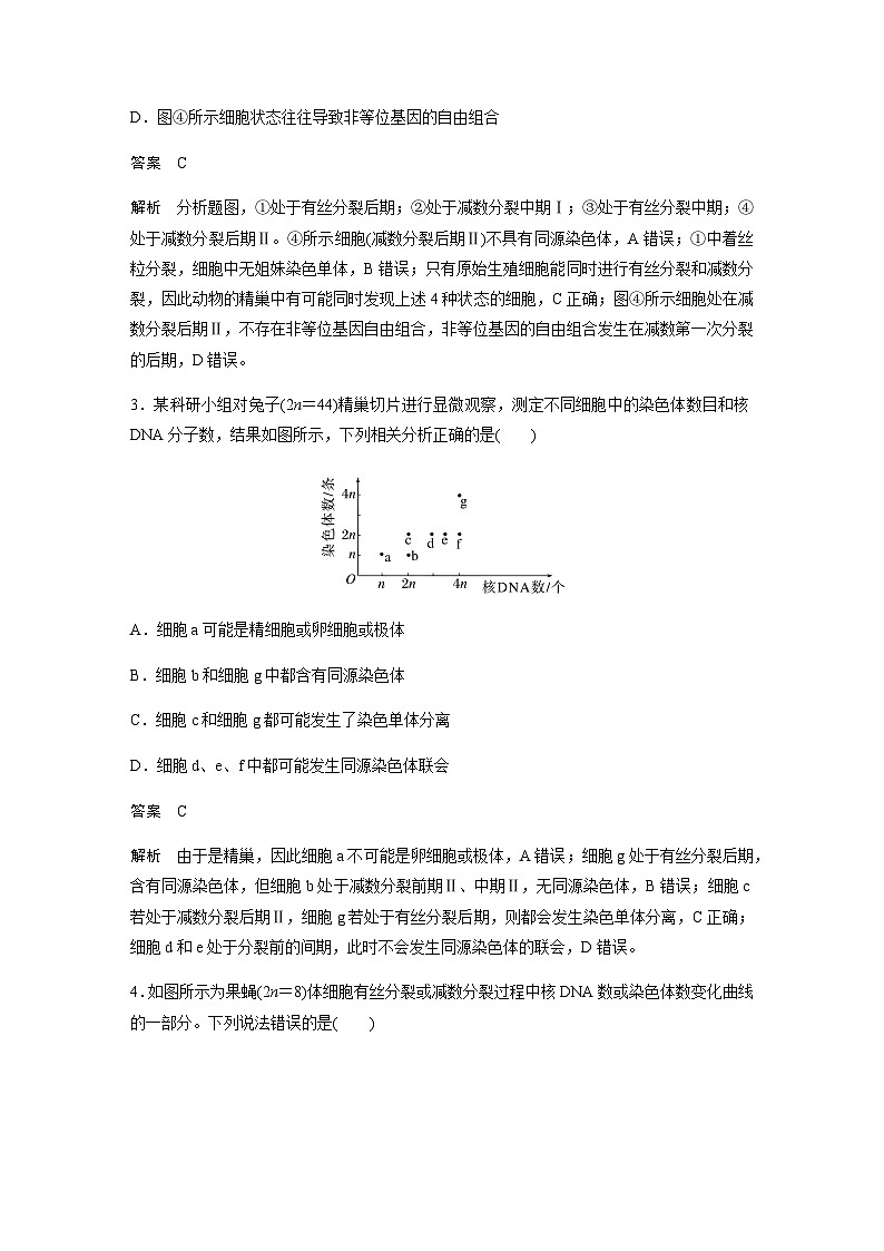 2024届苏教版高考生物一轮复习减数分裂与有丝分裂的比较以及观察植物细胞的减数分裂作业含答案第2页