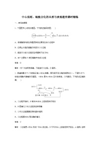 2024届苏教版高考生物一轮复习中心法则、细胞分化的本质与表观遗传作业含答案