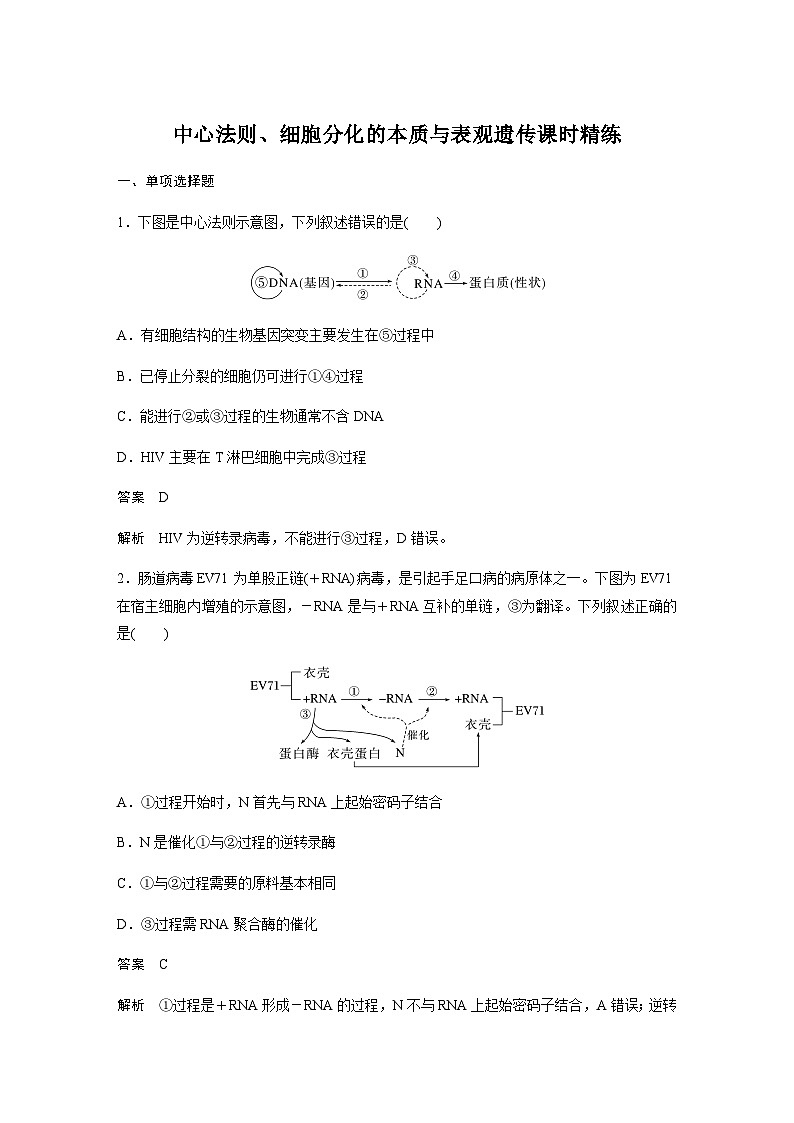 2024届苏教版高考生物一轮复习中心法则、细胞分化的本质与表观遗传作业含答案第1页