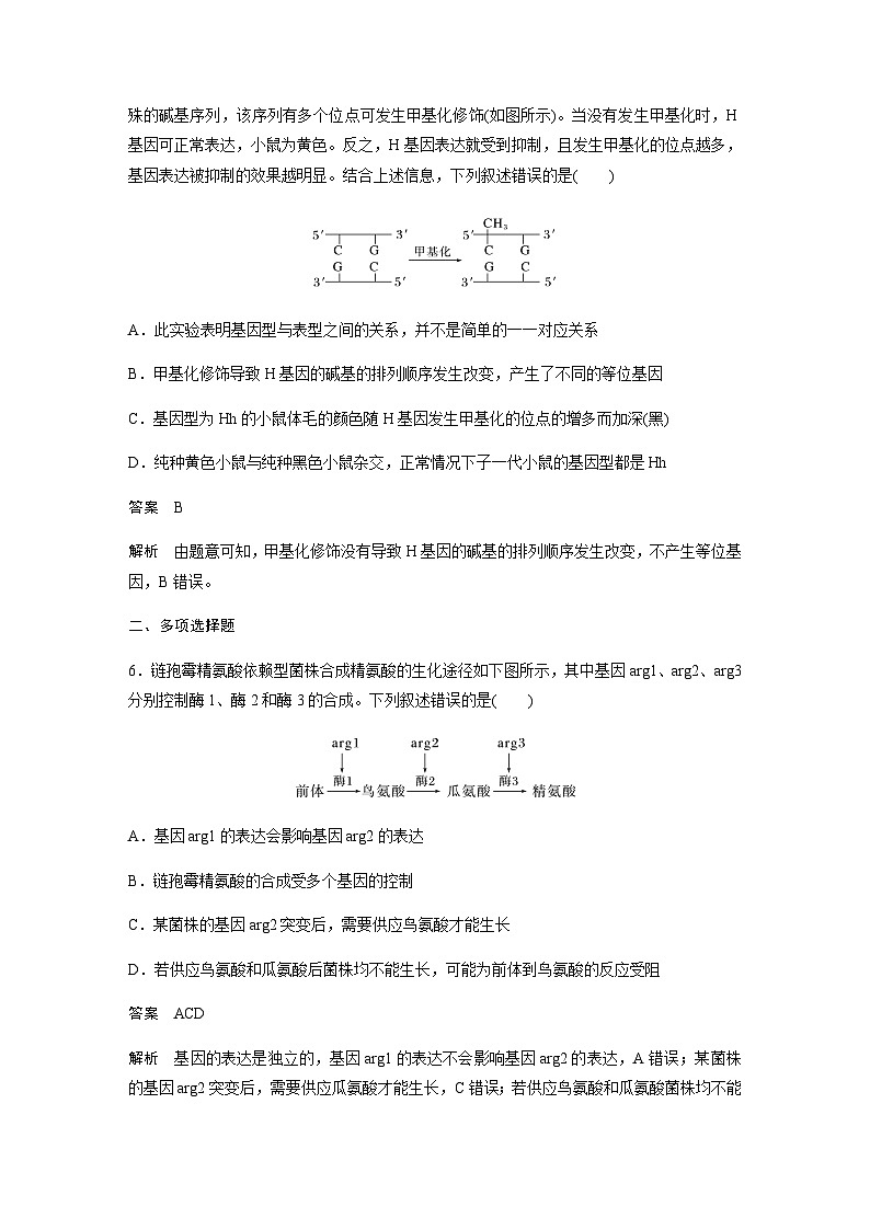 2024届苏教版高考生物一轮复习中心法则、细胞分化的本质与表观遗传作业含答案第3页