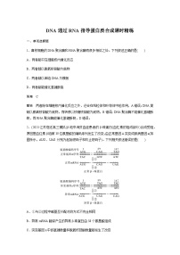 2024届苏教版高考生物一轮复习DNA通过RNA指导蛋白质合成作业含答案