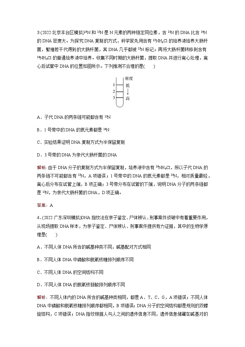 人教版2024届高考生物一轮复习DNA的结构、复制及基因的本质作业含答案第2页