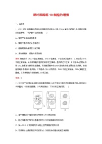 人教版2024届高考生物一轮复习细胞的增殖作业含答案