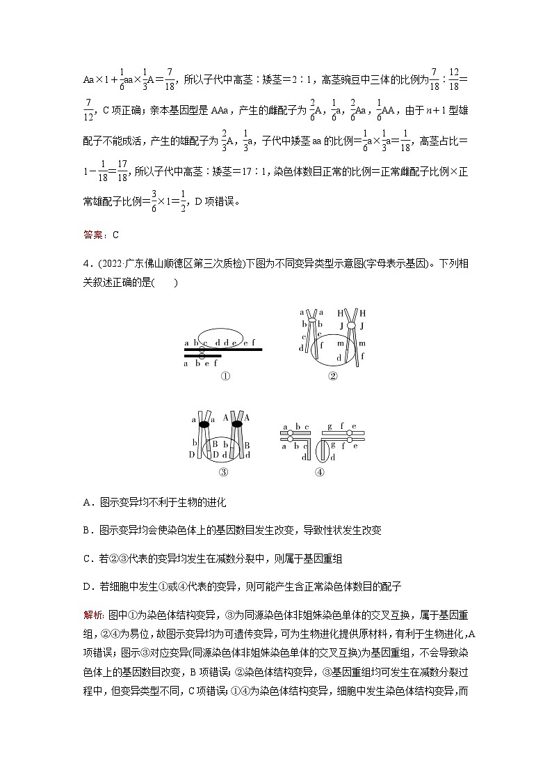 人教版2024届高考生物一轮复习染色体变异作业含答案第3页