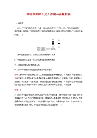 人教版2024届高考生物一轮复习光合作用与能量转化作业含答案