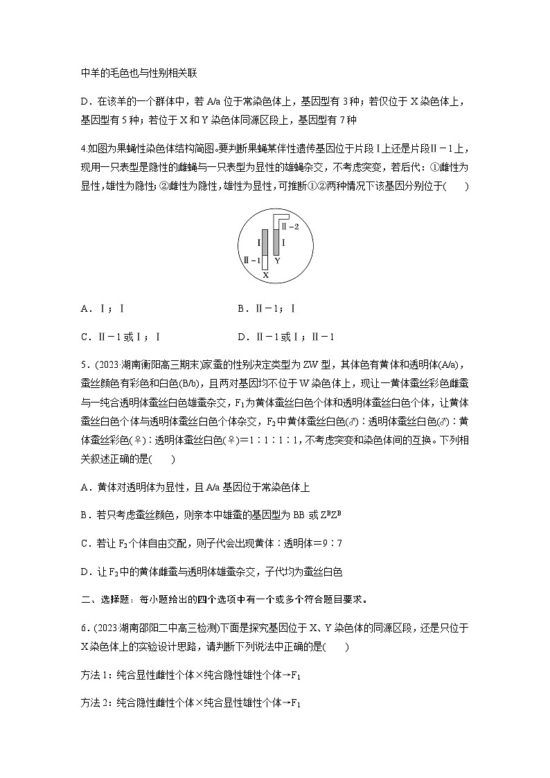 人教版2024届高考生物一轮复习与性染色体相关的基因位置的分析与判断题型突破作业含答案第2页