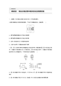 人教版2024届高考生物一轮复习有丝分裂过程中相关变化及观察实验作业含答案