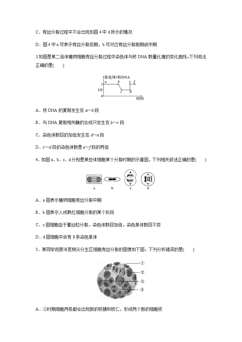 人教版2024届高考生物一轮复习有丝分裂过程中相关变化及观察实验作业含答案第2页