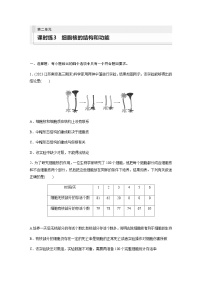 人教版2024届高考生物一轮复习细胞核的结构和功能作业含答案