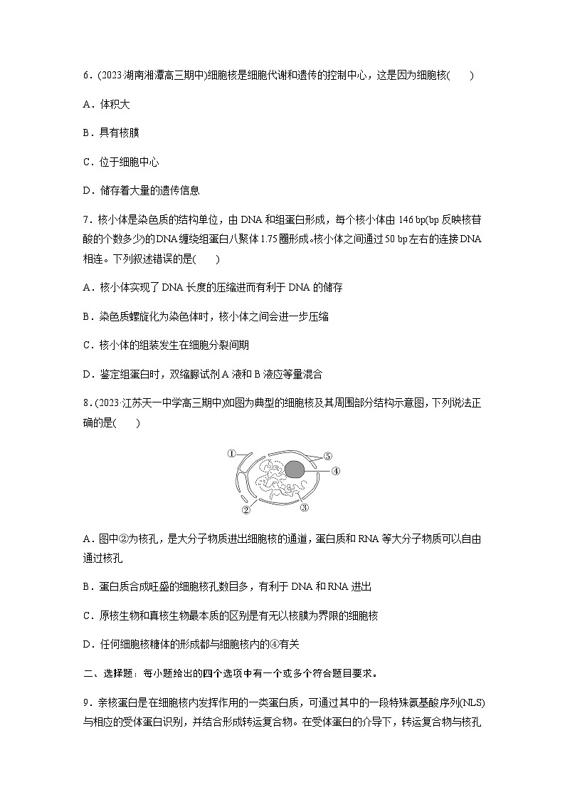 人教版2024届高考生物一轮复习细胞核的结构和功能作业含答案第3页