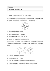 人教版2024届高考生物一轮复习染色体变异作业含答案