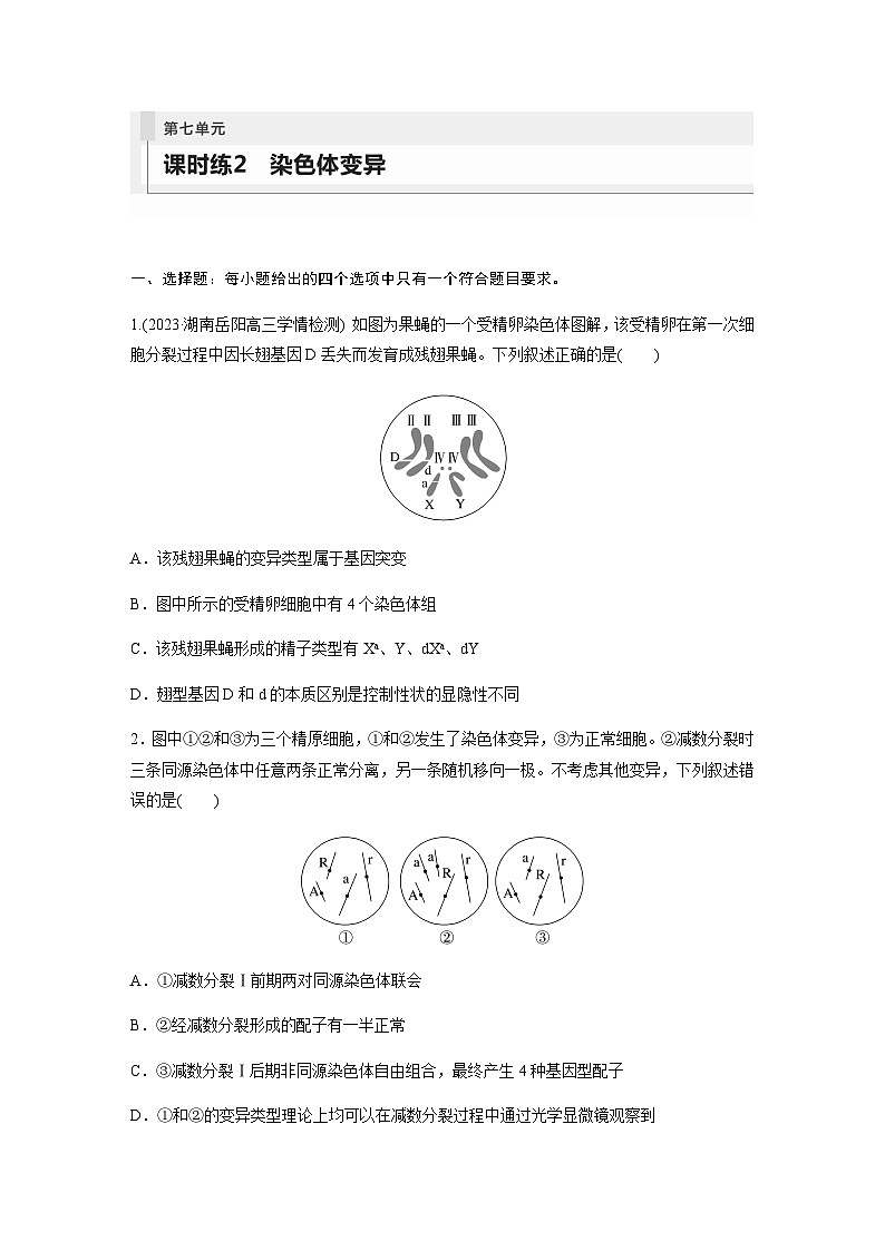 人教版2024届高考生物一轮复习染色体变异作业含答案第1页