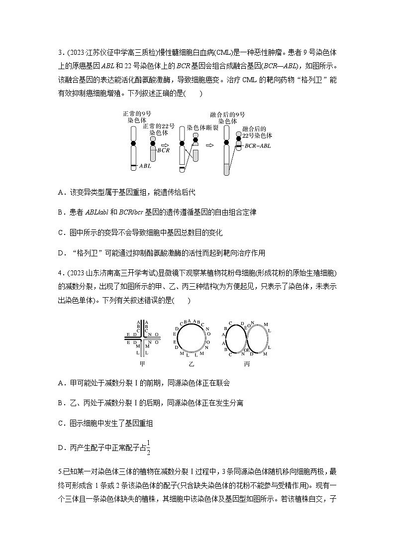 人教版2024届高考生物一轮复习染色体变异作业含答案第2页