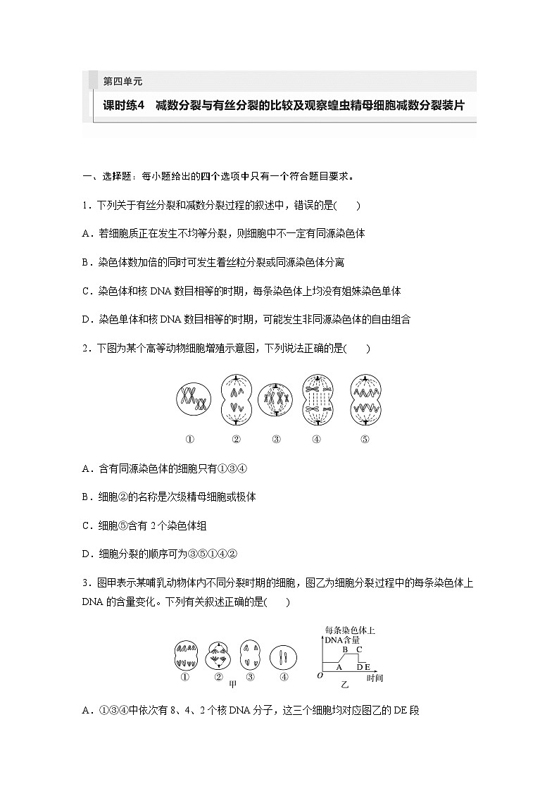 人教版2024届高考生物一轮复习减数分裂与有丝分裂的比较及观察蝗虫精母细胞减数分裂装片作业含答案第1页