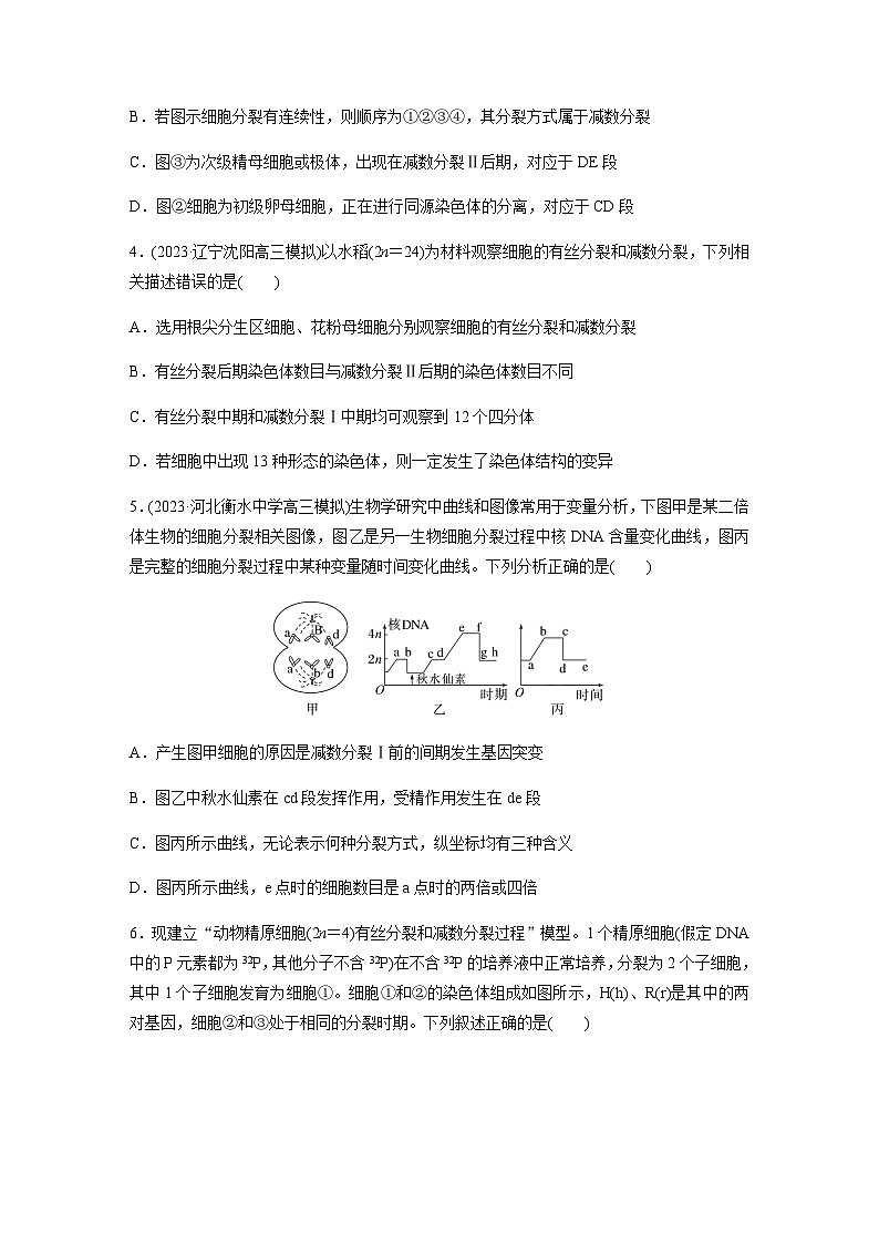 人教版2024届高考生物一轮复习减数分裂与有丝分裂的比较及观察蝗虫精母细胞减数分裂装片作业含答案第2页