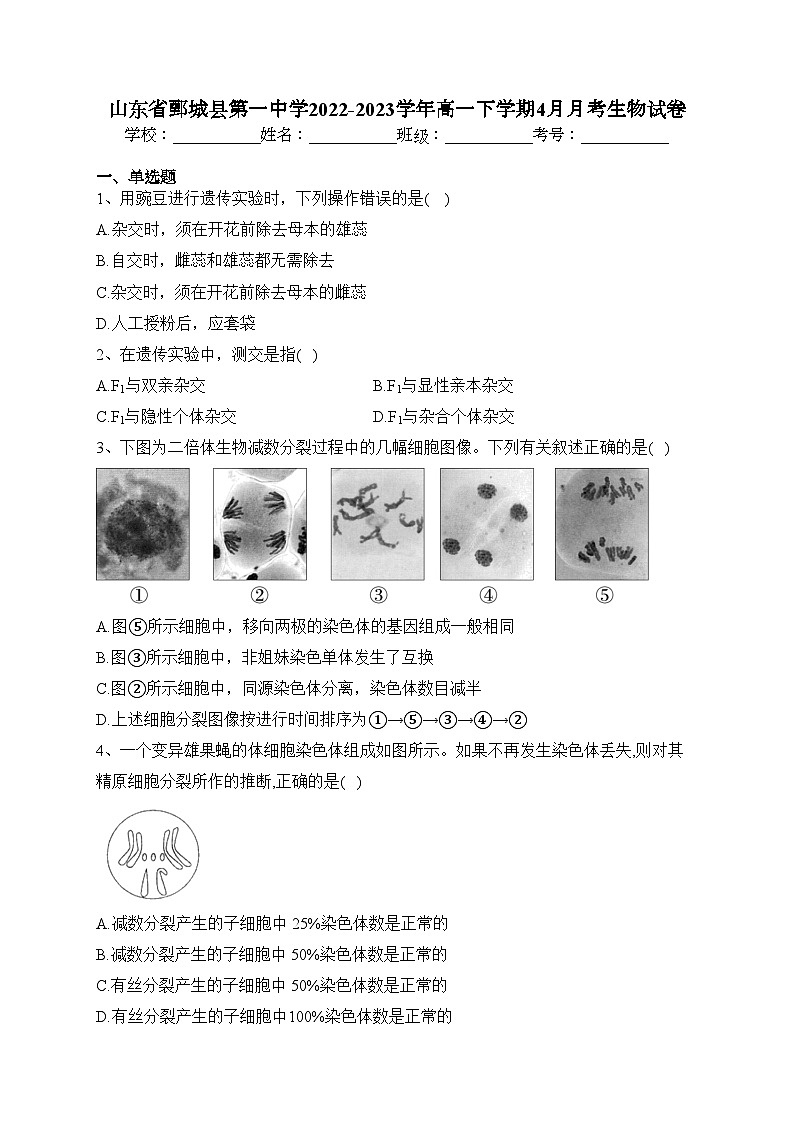 山东省鄄城县第一中学2022-2023学年高一下学期4月月考生物试卷（含答案）第1页