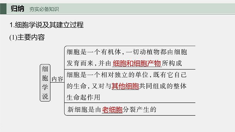 2024年高考生物一轮复习（新人教版） 第1单元　第1课时　走近细胞第5页