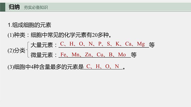 2024年高考生物一轮复习（新人教版） 第1单元　第2课时　细胞中的无机物、糖类和脂质 练习课件05