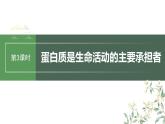 2024年高考生物一轮复习（新人教版） 第1单元　第3课时　蛋白质是生命活动的主要承担者 练习课件