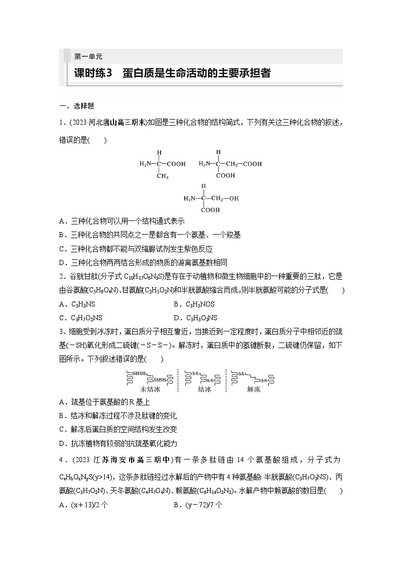 2024年高考生物一轮复习（新人教版） 第1单元　第3课时　蛋白质是生命活动的主要承担者 练习课件01