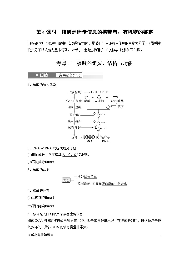 2024年高考生物一轮复习（新人教版） 第1单元　第4课时　核酸是遗传信息的携带者、有机物的鉴定 练习课件01