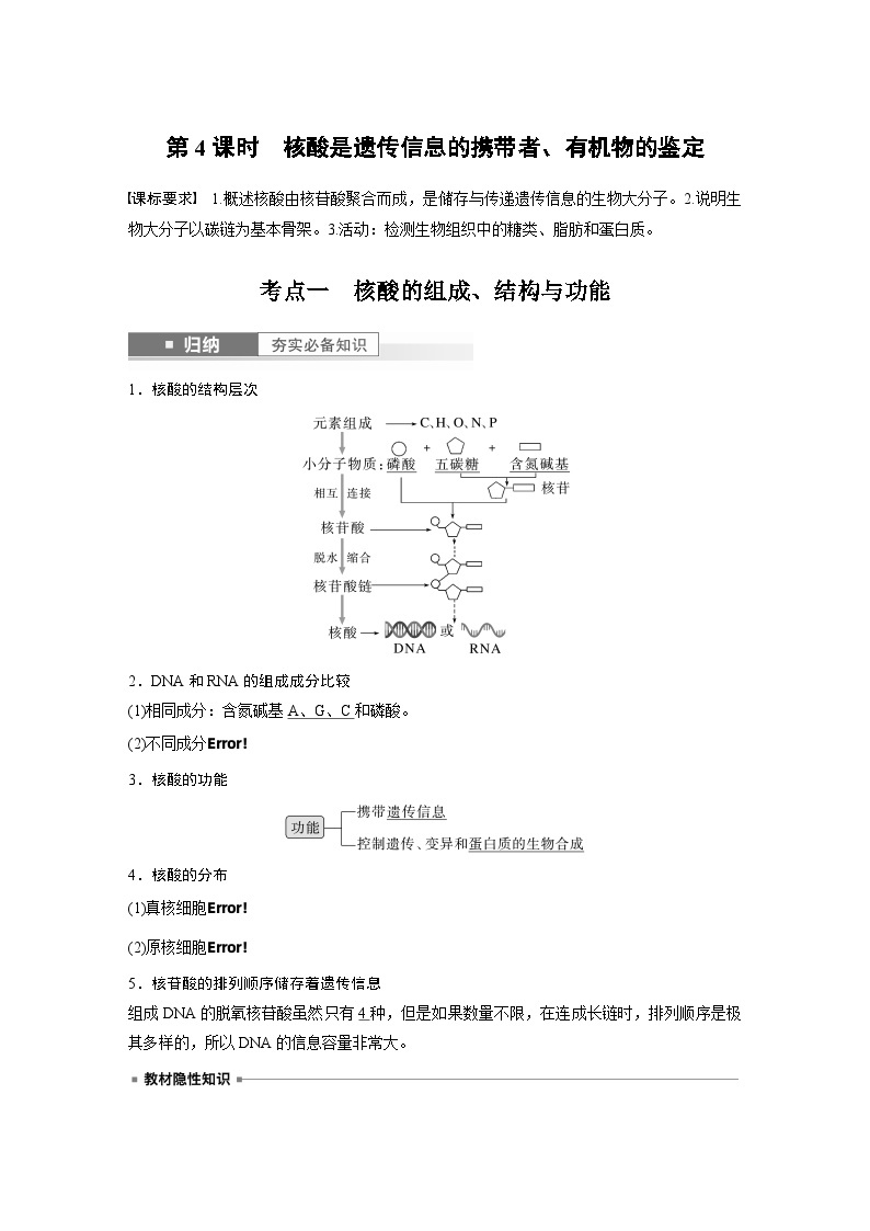 2024年高考生物一轮复习（新人教版） 第1单元　第4课时　核酸是遗传信息的携带者、有机物的鉴定 练习课件01