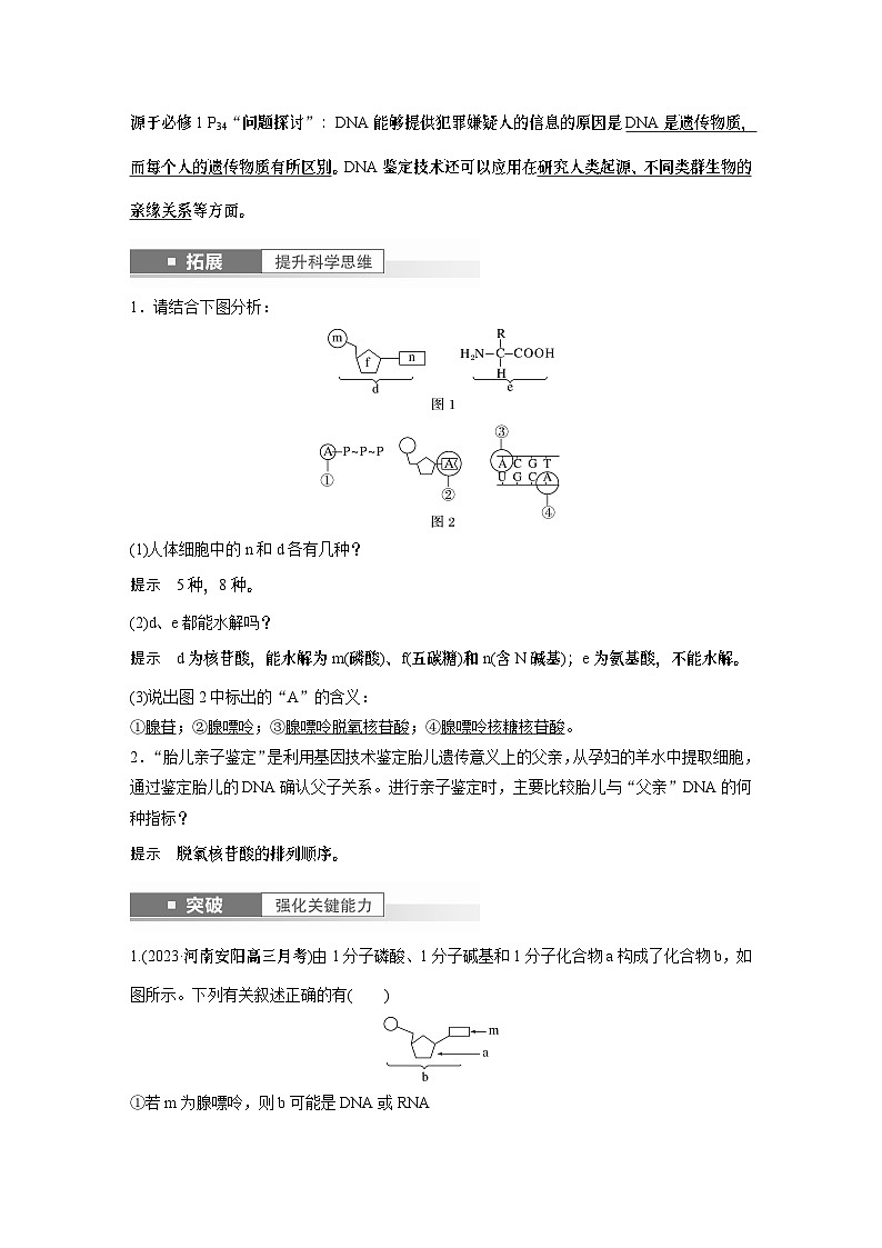 2024年高考生物一轮复习（新人教版） 第1单元　第4课时　核酸是遗传信息的携带者、有机物的鉴定 练习课件02