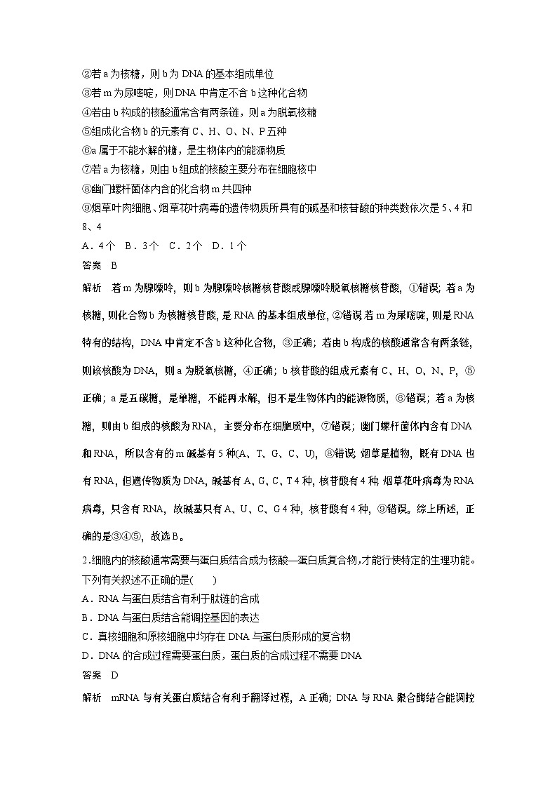 2024年高考生物一轮复习（新人教版） 第1单元　第4课时　核酸是遗传信息的携带者、有机物的鉴定 练习课件03