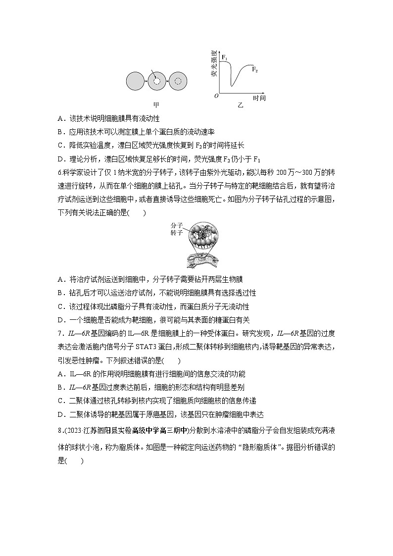 第2单元　课时练1　细胞膜的结构和功能第2页