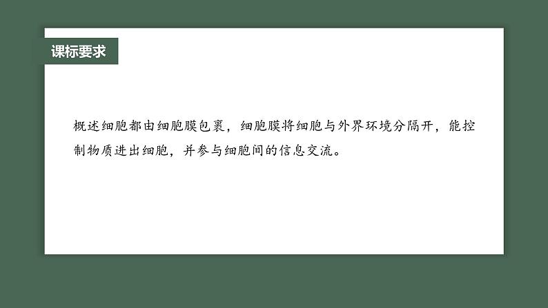 2024年高考生物一轮复习（新人教版） 第2单元　第1课时　细胞膜的结构和功能第2页