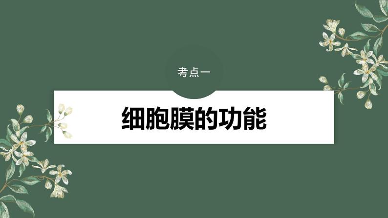 2024年高考生物一轮复习（新人教版） 第2单元　第1课时　细胞膜的结构和功能第4页