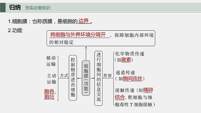 2024年高考生物一轮复习（新人教版） 第2单元　第1课时　细胞膜的结构和功能第5页