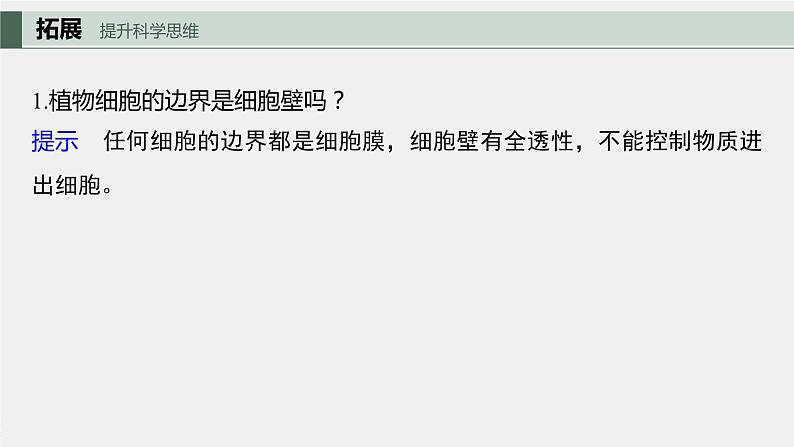 2024年高考生物一轮复习（新人教版） 第2单元　第1课时　细胞膜的结构和功能第7页