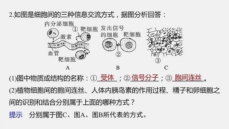 2024年高考生物一轮复习（新人教版） 第2单元　第1课时　细胞膜的结构和功能第8页